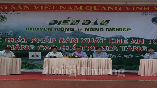  Sản xuất VietGAP: Nâng cao giá trị chè Việt